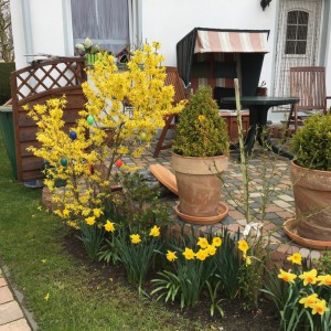 Sitzmoeglichkeiten ueberall rund ums Haus