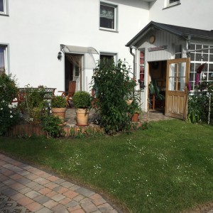 unser "Sonneneckchen"